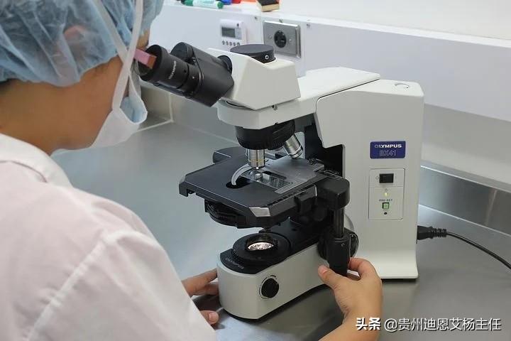 偷偷做亲子鉴定需要什么材料（亲子鉴定需要的东西）