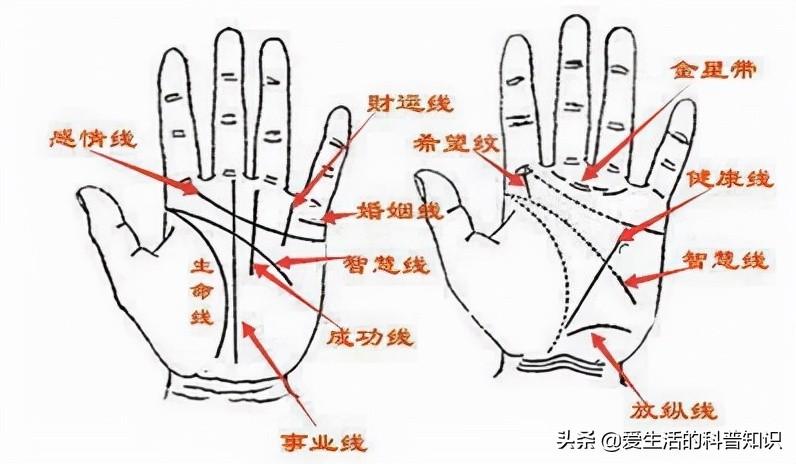 男左女右的由来（为什么有男左女右这种说法）