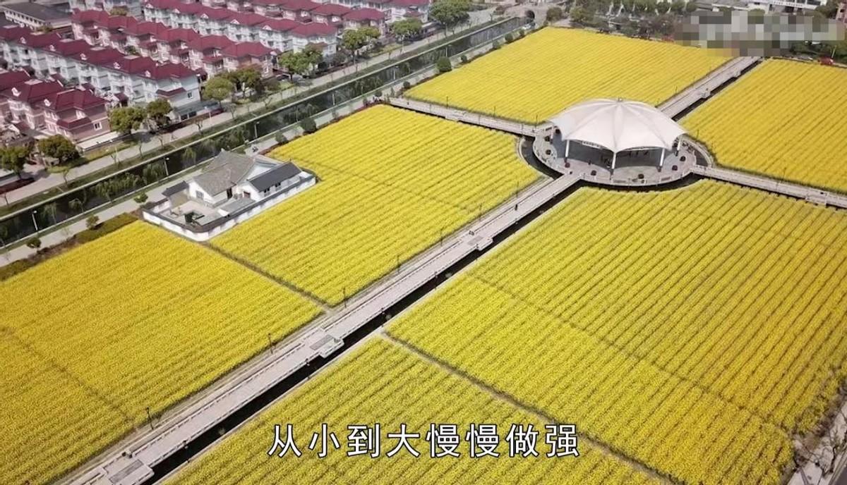 中国最有钱的村子（中国最富有的村庄是哪个村庄）