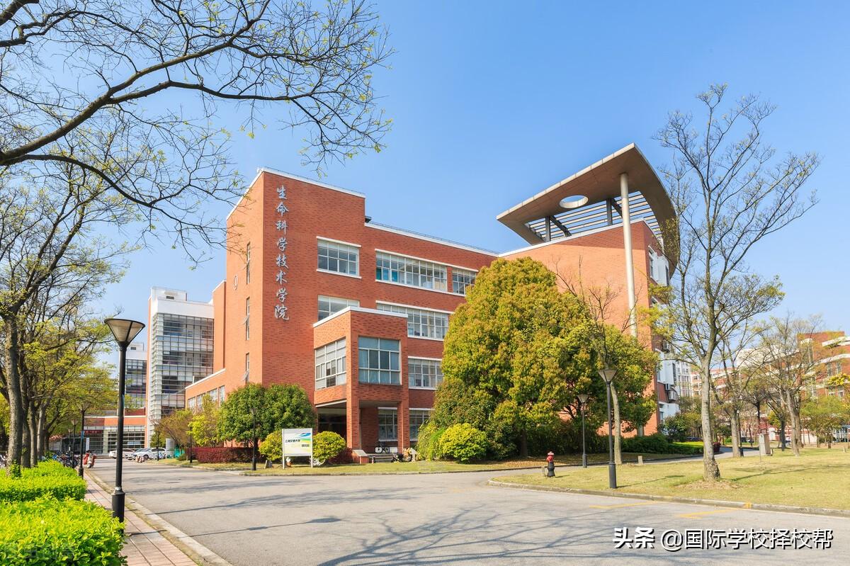 北京十大最好国际学校（北京排名靠前的国际学校名单）