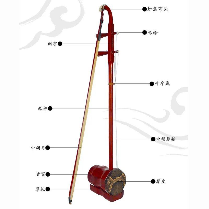十大最难学的乐器（世界十大公认最难学的乐器）