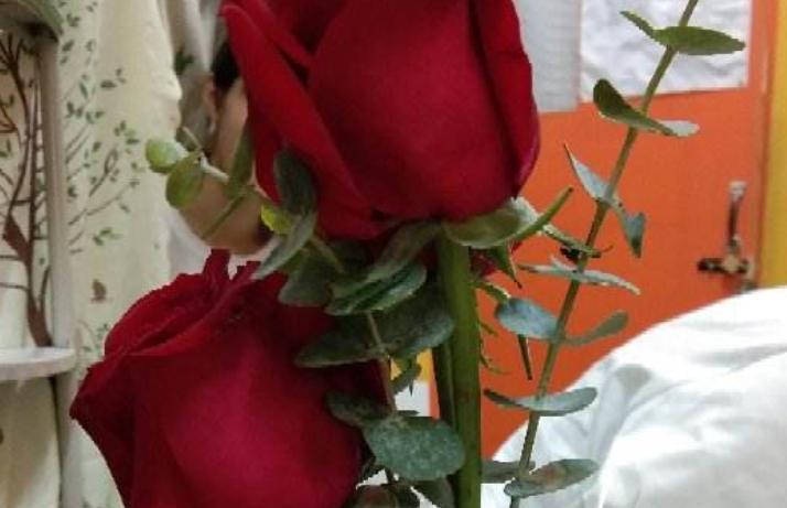 结婚纪念日送什么花（结婚周年送什么花合适）