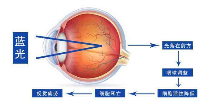 为什么夜钓禁用蓝光灯（夜钓蓝光灯对鱼有影响吗）