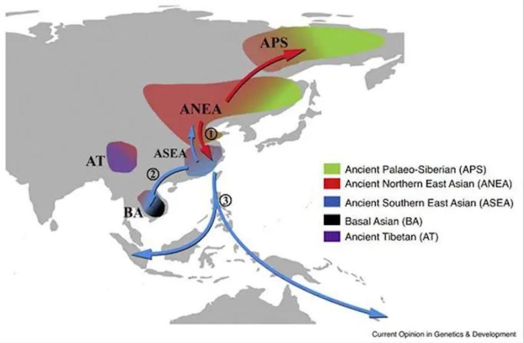 中国第一个人类是谁生的（第一个成为人类的人是谁）