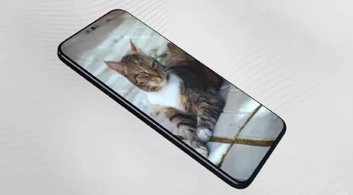 什么手机拍照效果最好（最强拍照手机前十名推荐）