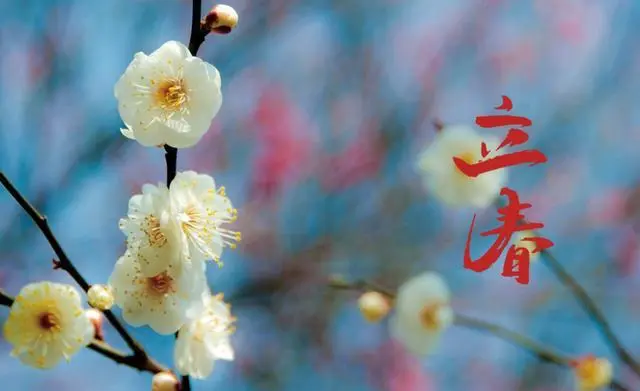 立春和春分什么区别（春分立春是一个意思吗）