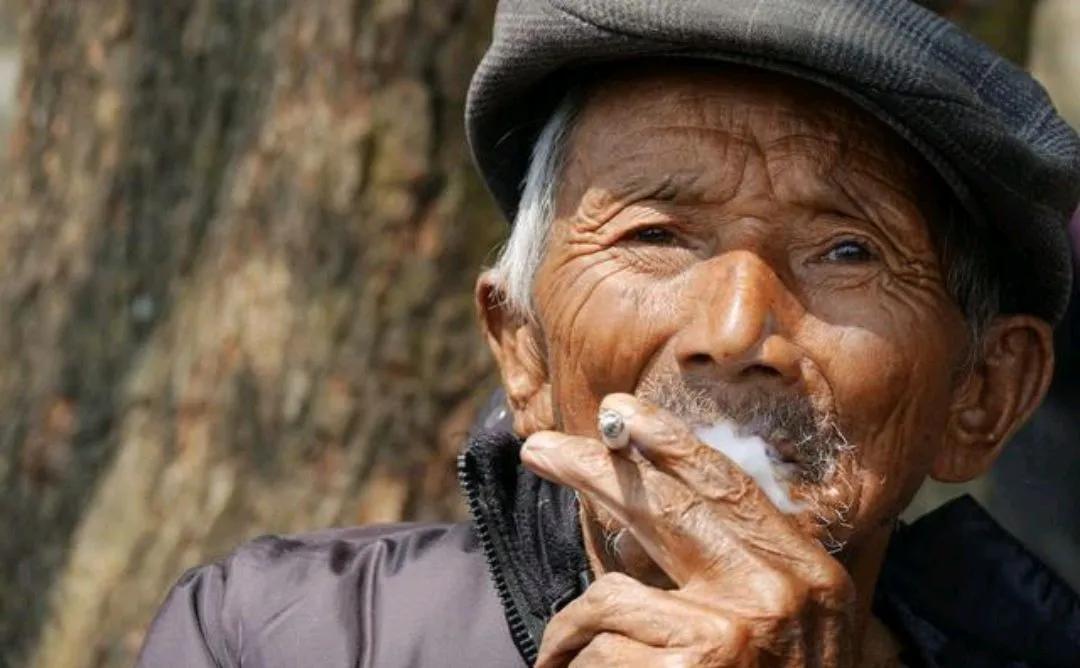 猫来家里好事还是坏事（家里经常有猫来是吉还是凶）