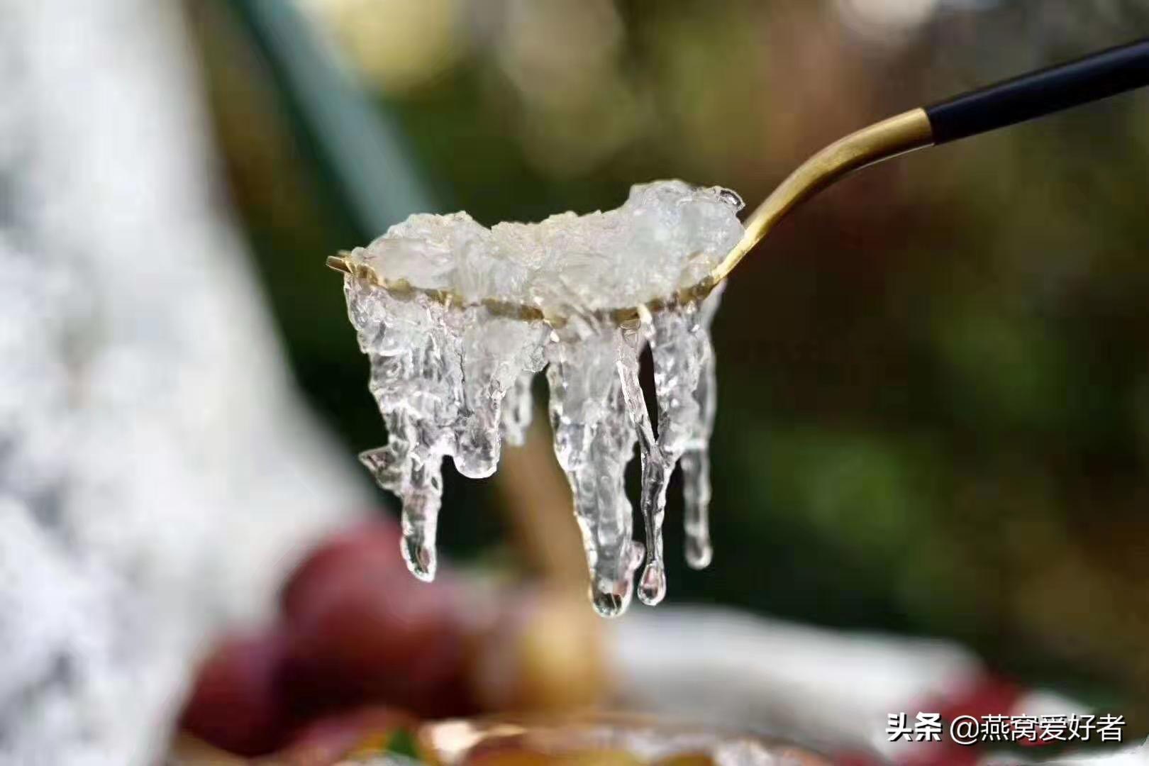 印尼燕窝100克市场价格（印尼燕窝怎么卖的多少钱一克）