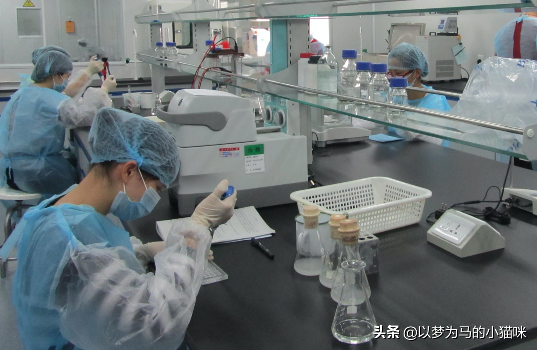 女生就业率最高的十大专业（女孩子就业率高的专业）