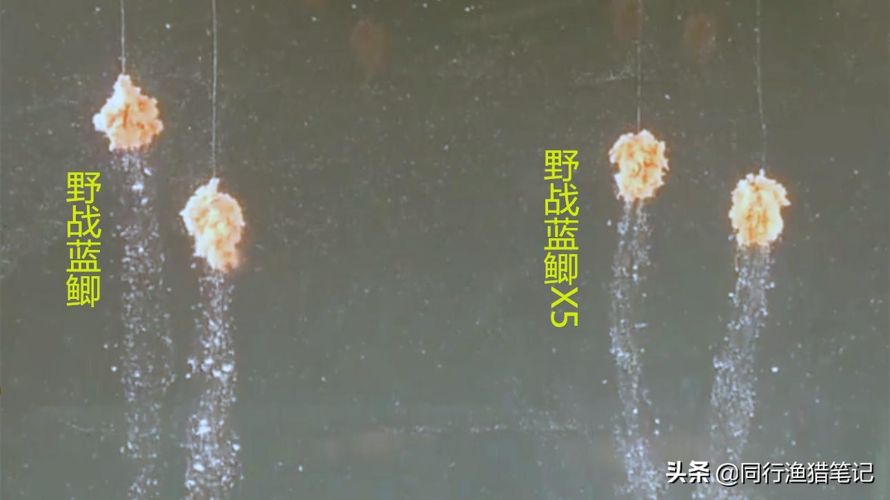 蓝鲫x5和野战蓝鲫区别（蓝鲫x5和野战蓝鲫哪个好）