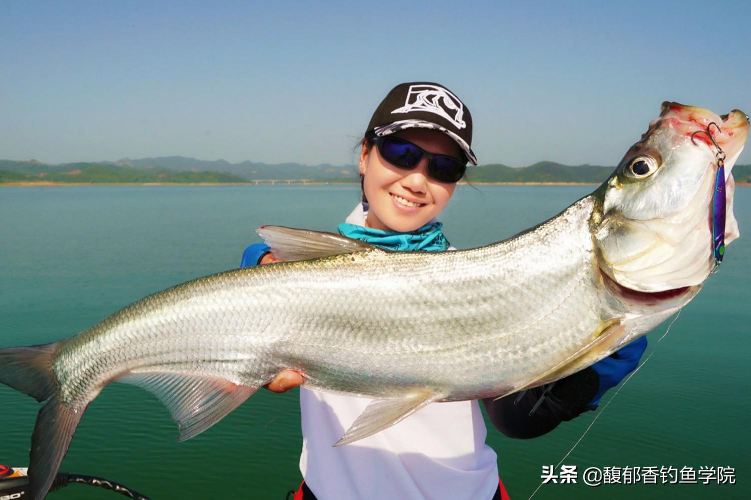翘嘴鱼吃什么食物（翘嘴鱼喜欢吃什么鱼食）