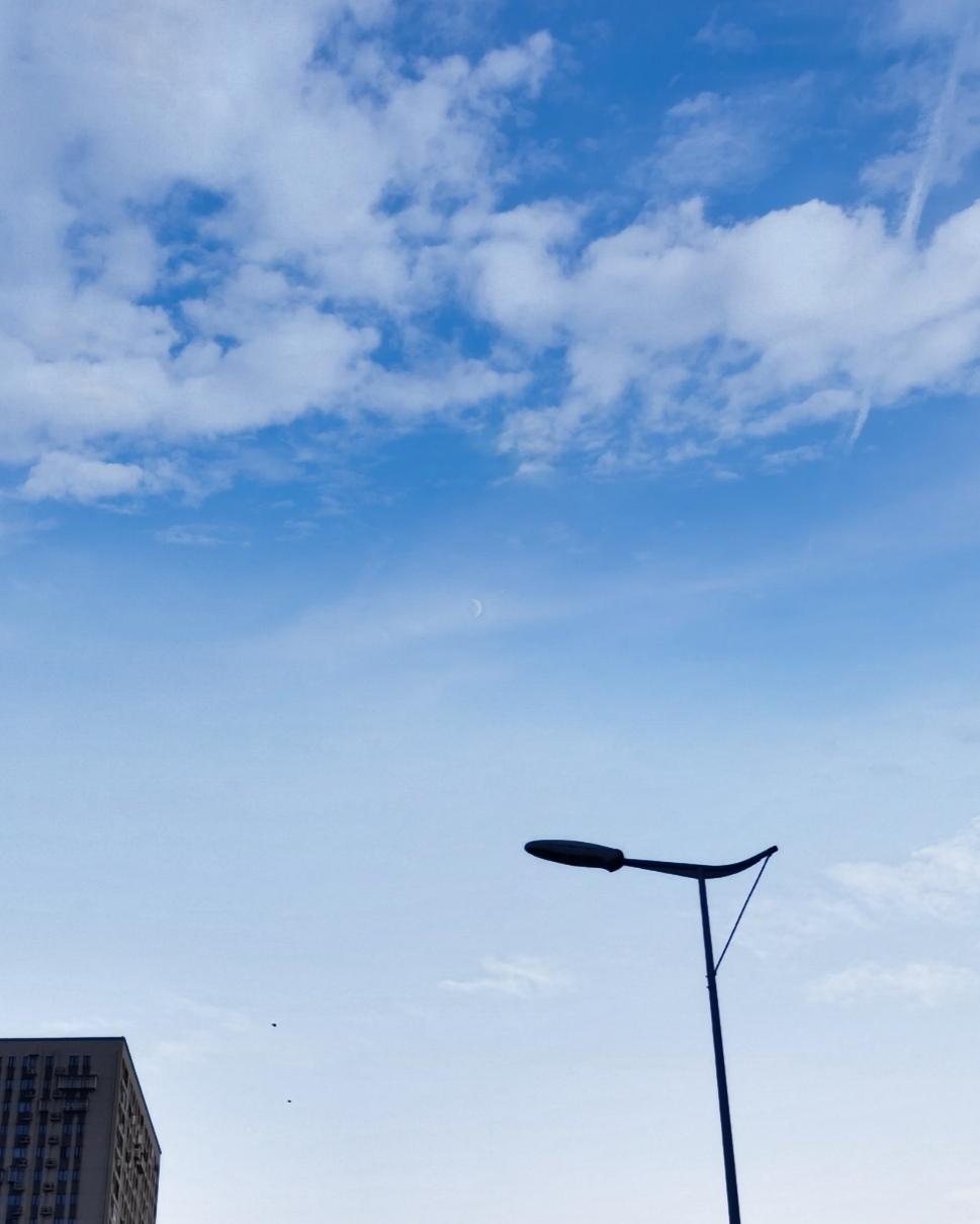 国家电网招女生什么专业多（每年国家电网招女生多吗）