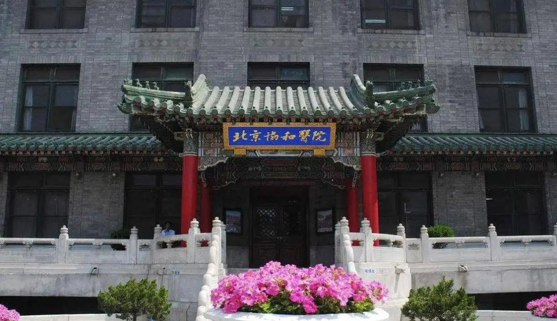 最好的医学院是哪个大学（中国最好的医学系在哪个大学）