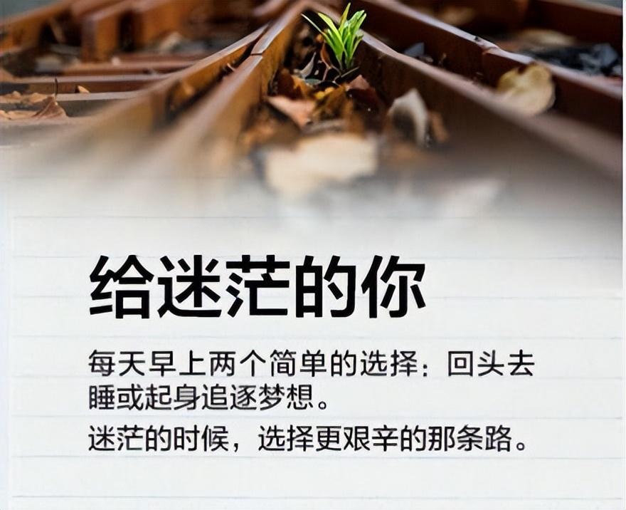 欠信用卡网贷100w三年没还（个人网贷还款亲身经历）