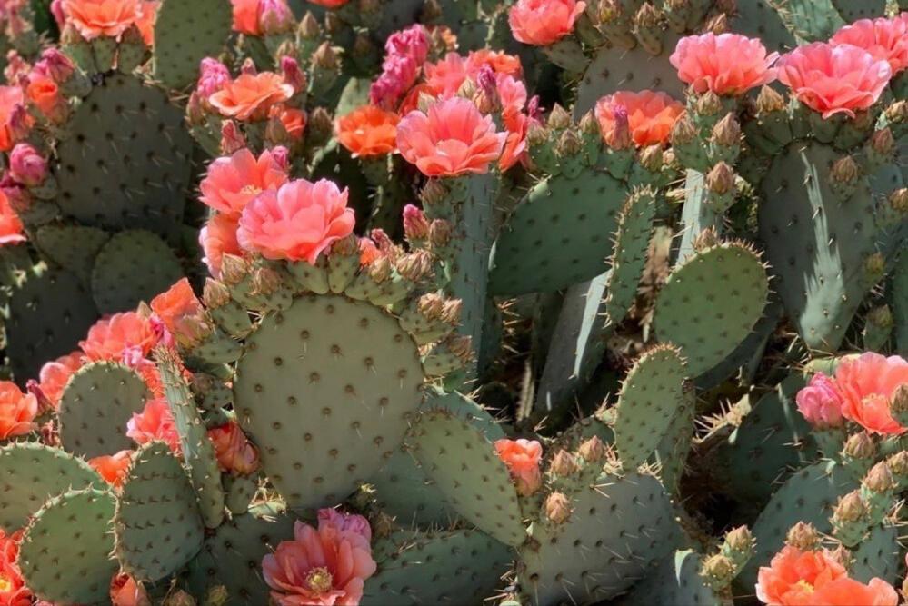 最强大的三个上升星座（上升星座哪个最厉害）