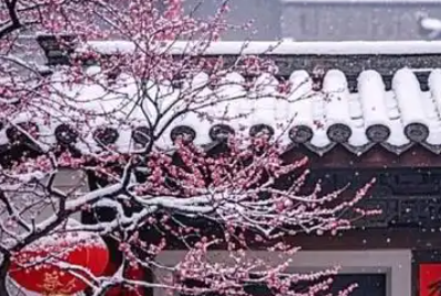抒情诗歌--融雪在屋檐写遗嘱